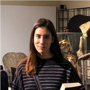 Doy clases particulares para sanar dudas y auxiliar los alumnos en sus deberes